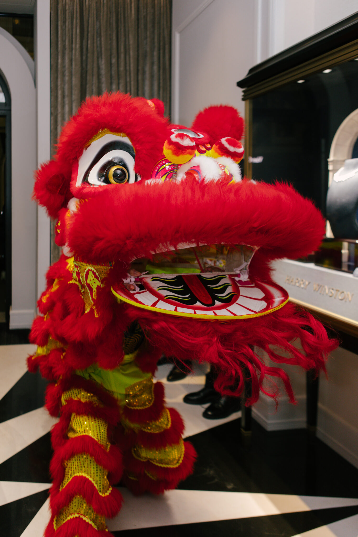 chinese lion costume dancing